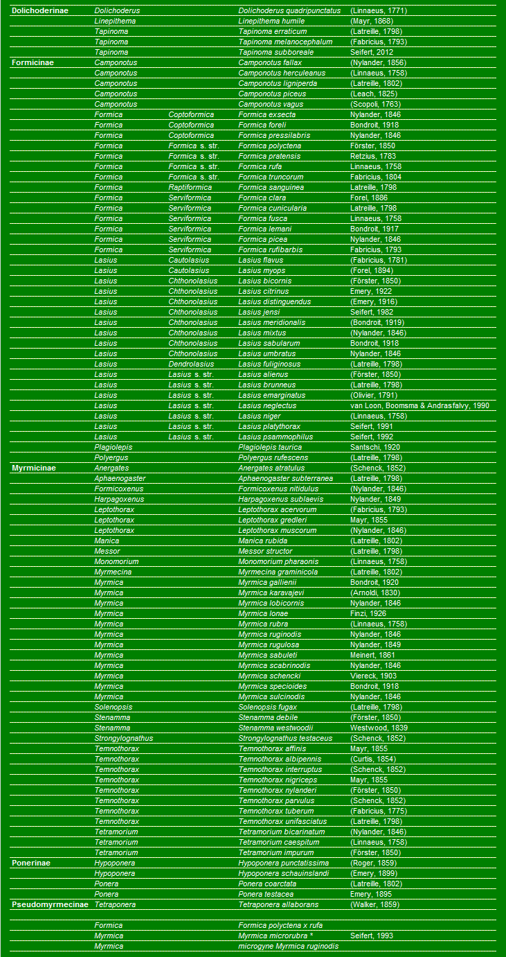 checklist Belgian ants