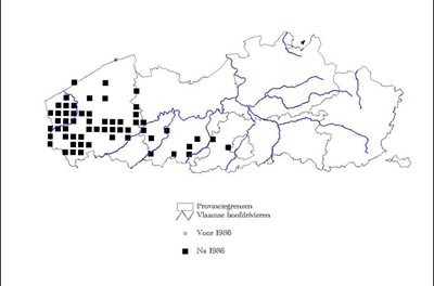 verspreiding van de muurmier in Vlaanderen